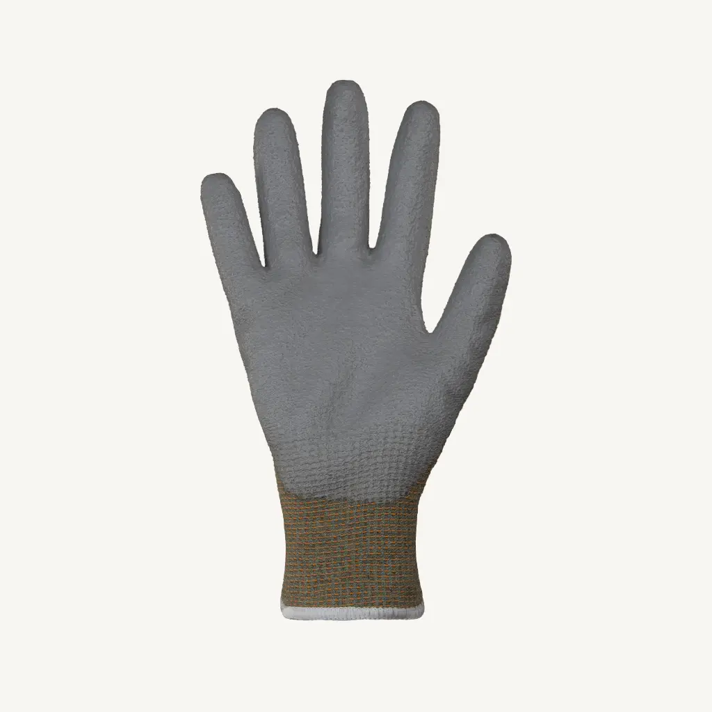 STAGCXPU-Palm.webp